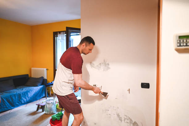 Best Affordable Mold Removal  in Beachwood, NJ